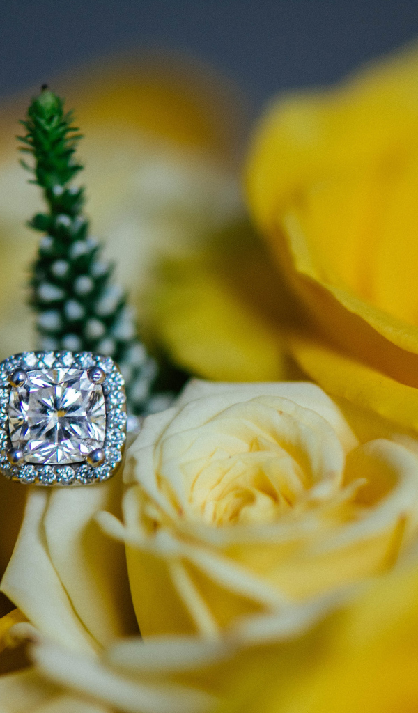 Красивые желтые розы и дорогое кольцо с бриллиантом крупным планом