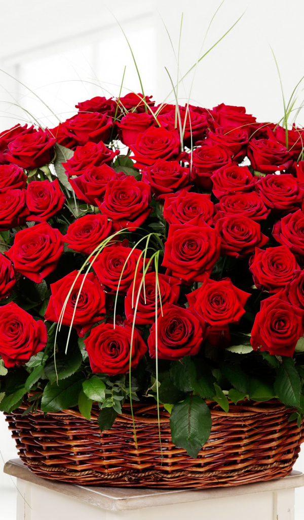 Большой букет красивых красных роз в корзине на белом фоне 