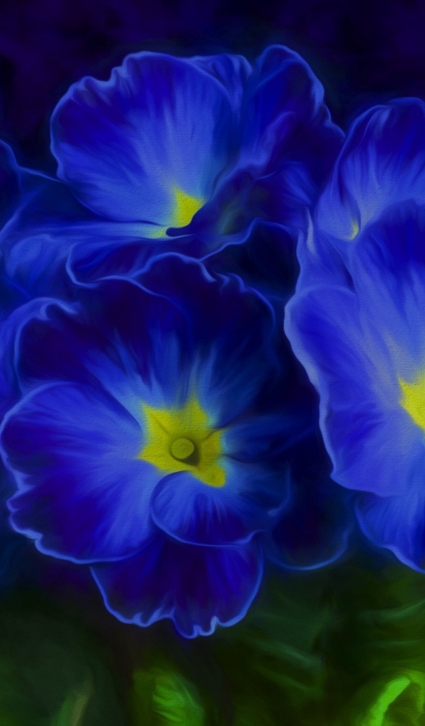 Синие цветы примула 