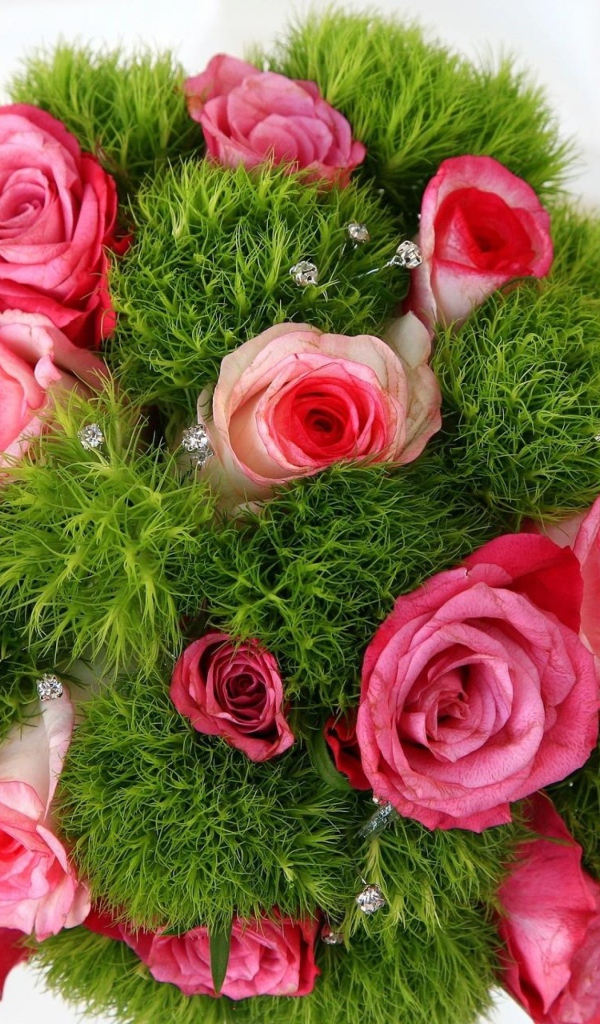 Букет красивых розовых роз с зеленью