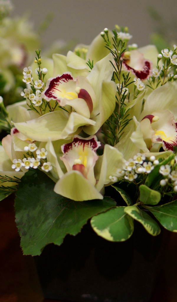 Букет нежной орхидеи и морозника