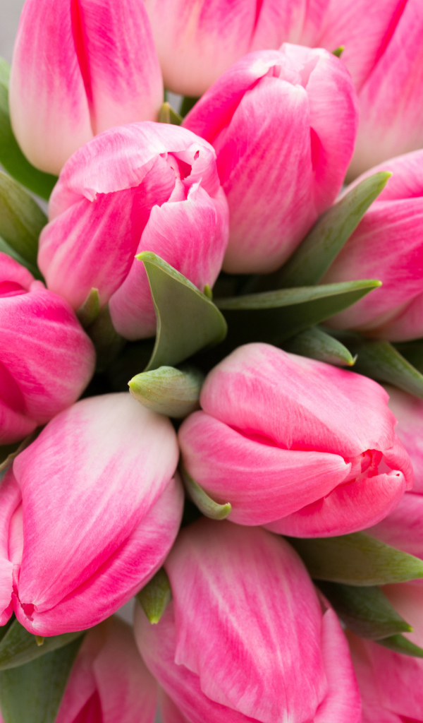 Букет нежных розовых тюльпанов 