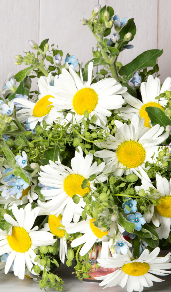 Букет полевых ромашек перевязанный лентой