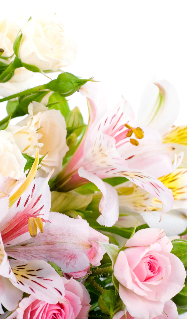 Букет из розовых и белых роз и цветов альстрёмерия на белом фоне