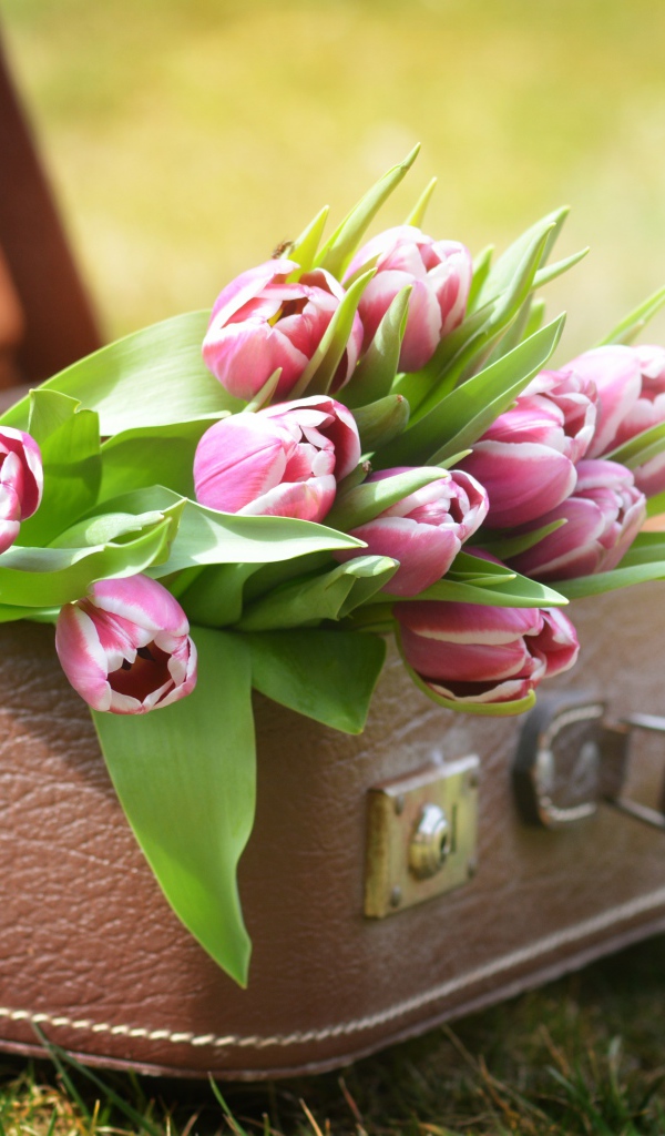 Букет розовых тюльпанов в кожаном чемодане