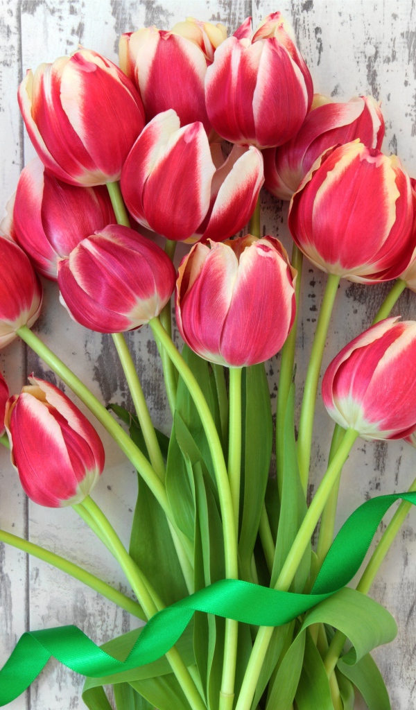 Букет розовых тюльпанов с зеленой лентой 