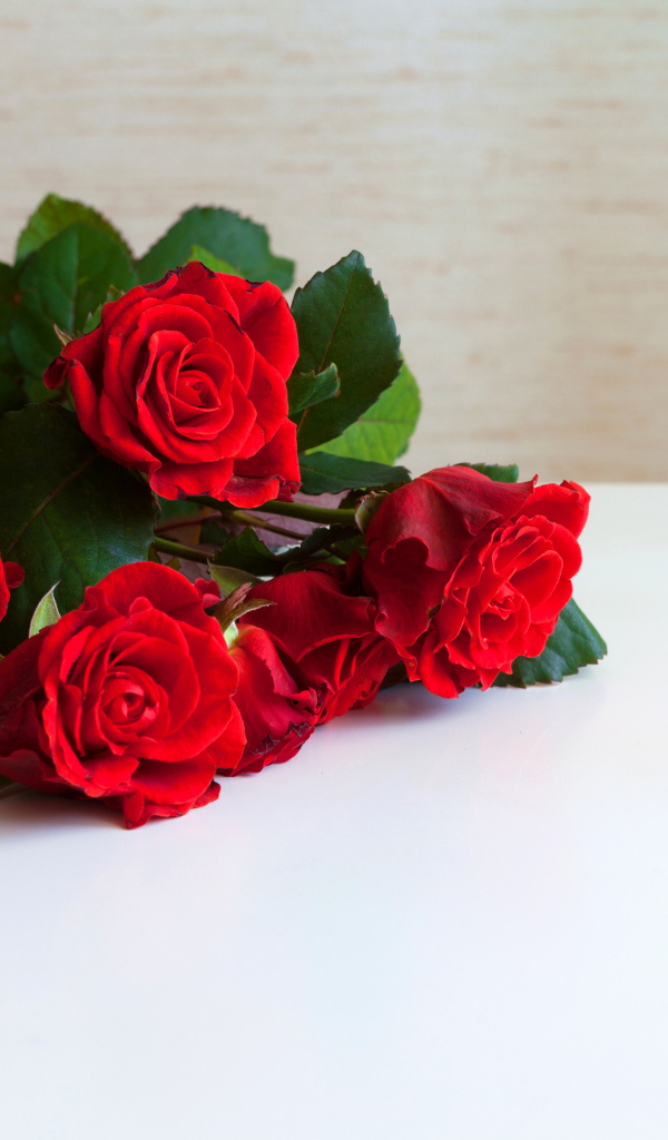 Букет красных роз на белой поверхности, шаблон