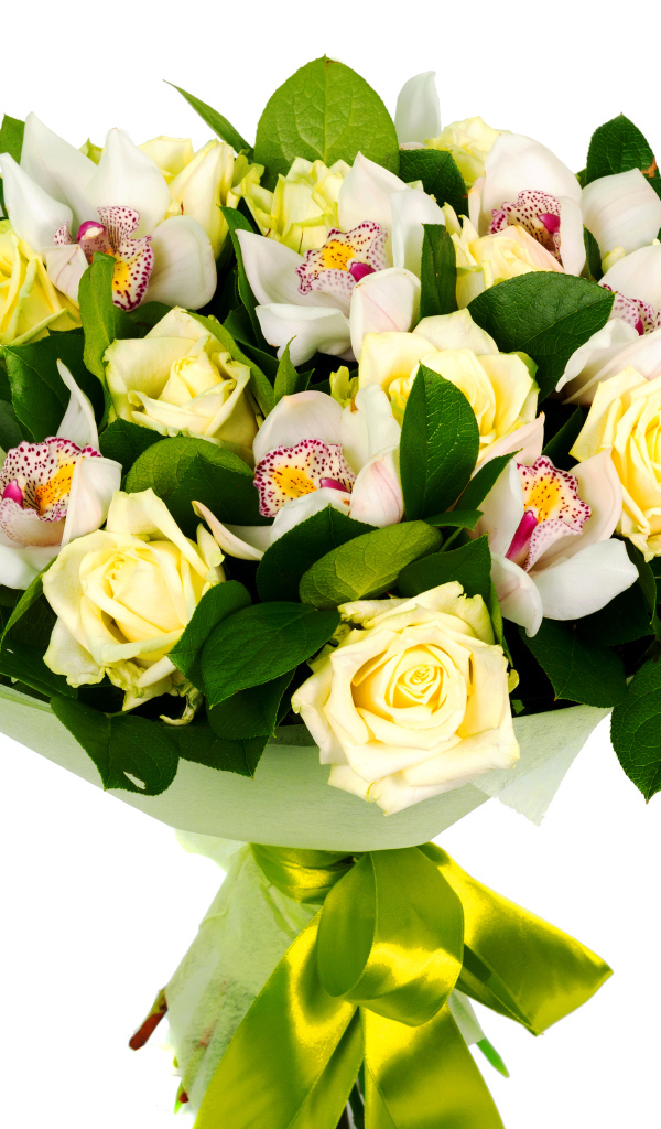 Букет белых роз и белых орхидей на белом фоне