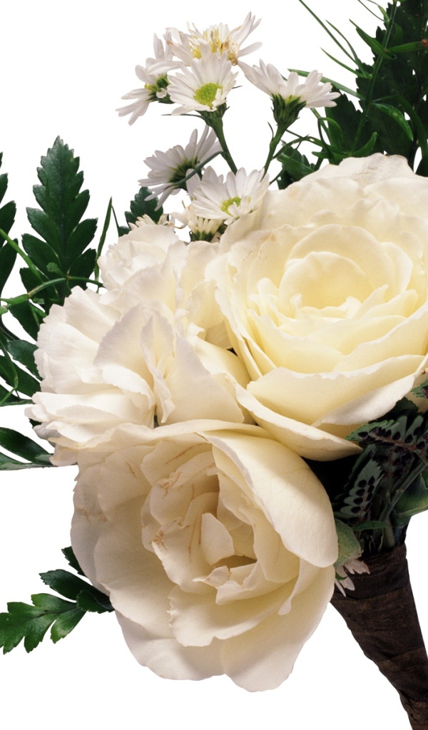 Букет из белых роз с ромашками и большими зелеными листьями на белом фоне