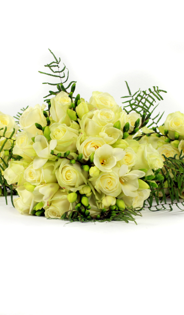 Букеты белых роз и фрезии на белом фоне