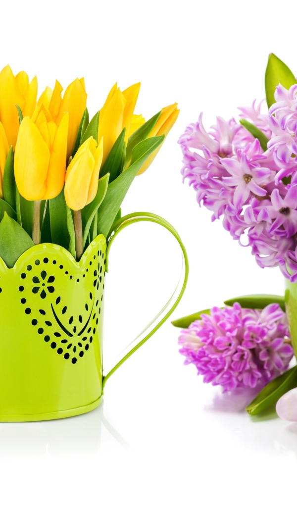 Композиция с желтыми тюльпанами и сиреневыми гиацинтами на белом фоне