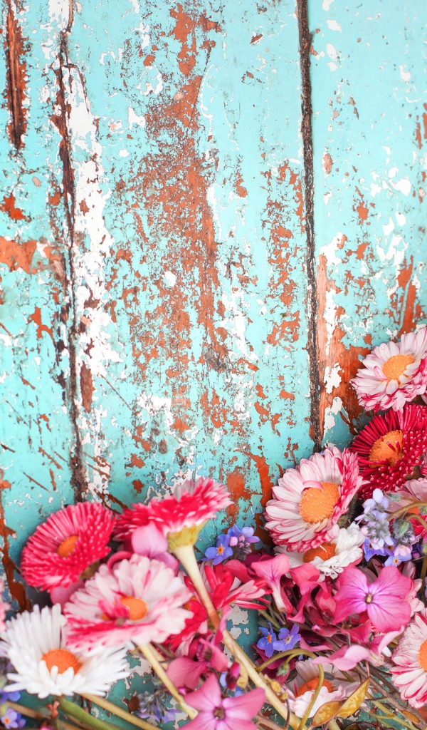 Маргаритки и флоксы на старой деревянной поверхности