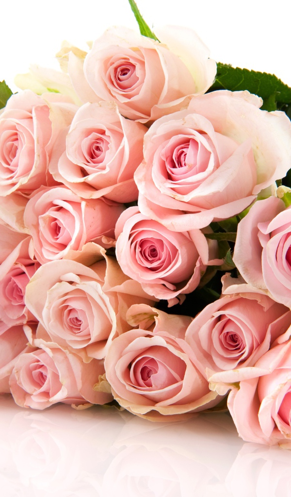 Нежный букет красивых розовых роз на белом фоне