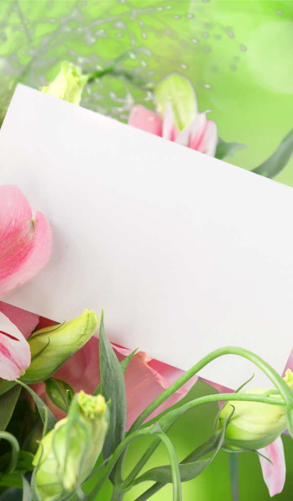 Цветы альстрёмерия и эустома, шаблон для открытки