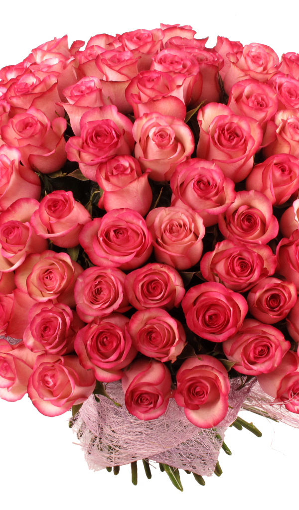 Большой букет нежных розовых роз на белом фоне