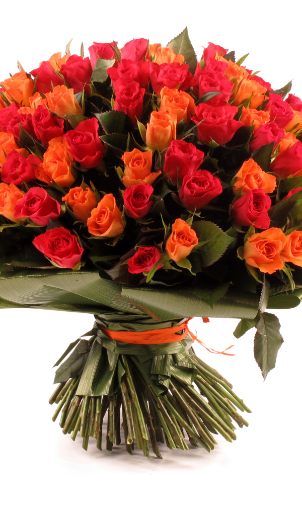 Большой букет оранжевых и розовых роз на белом фоне