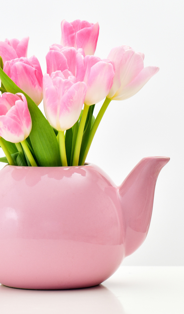 Розовые тюльпаны в чайнике на белом фоне