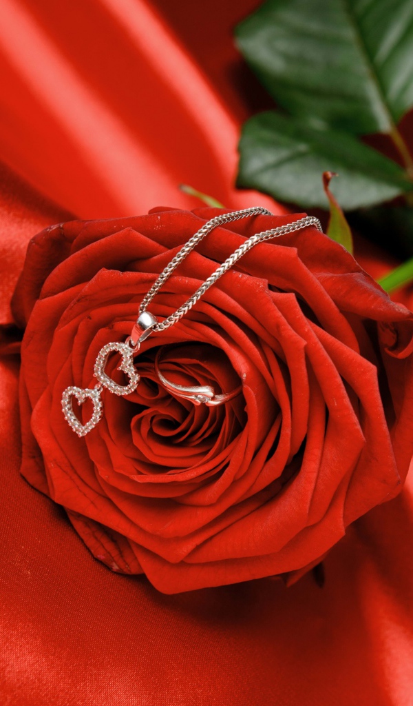 Красная роза с серебряным кулоном с сердечками