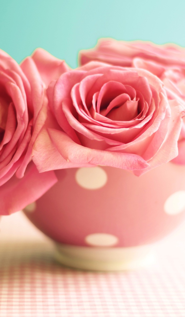 Три розовые розы в вазе на голубом фоне