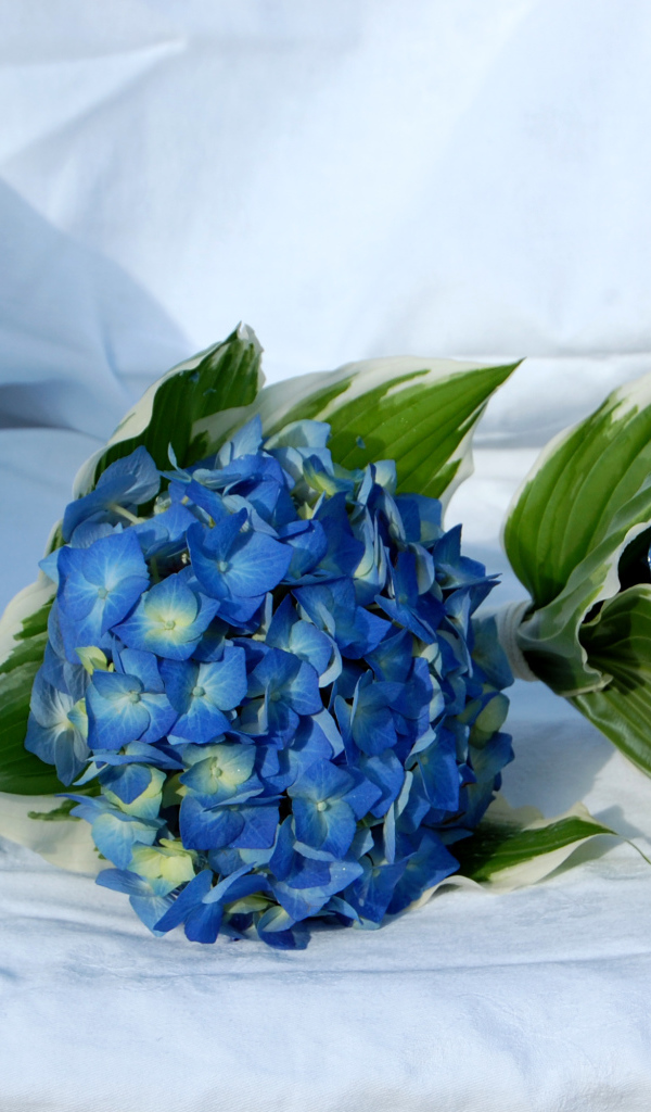 Два букета цветов гортензии