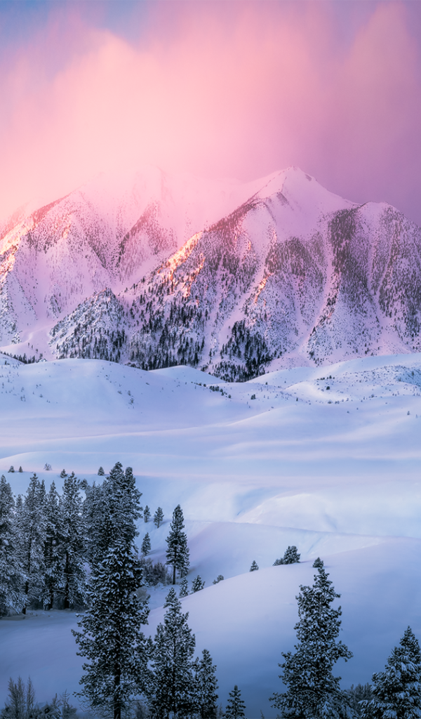 Заснеженные горы в сиреневом тумане 