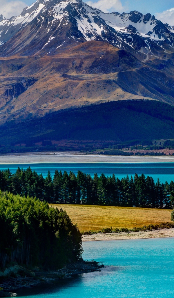 Живописное  озеро Текапо на фоне гор, Новая Зеландия