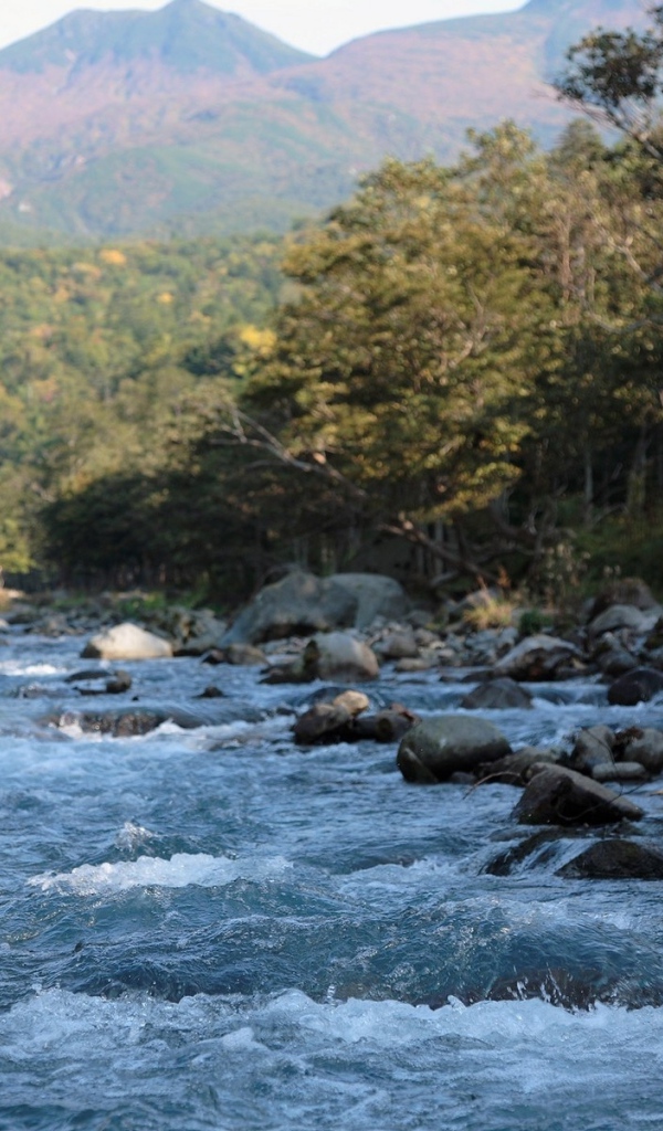 Бушующая горная река бежит по камням