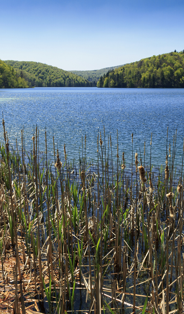Вид на озеро и лес в Национальном парке Плитвицкие озёра, Хорватия