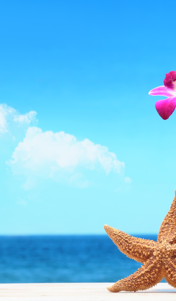 Летний коктейль и морская звезда на фоне  моря