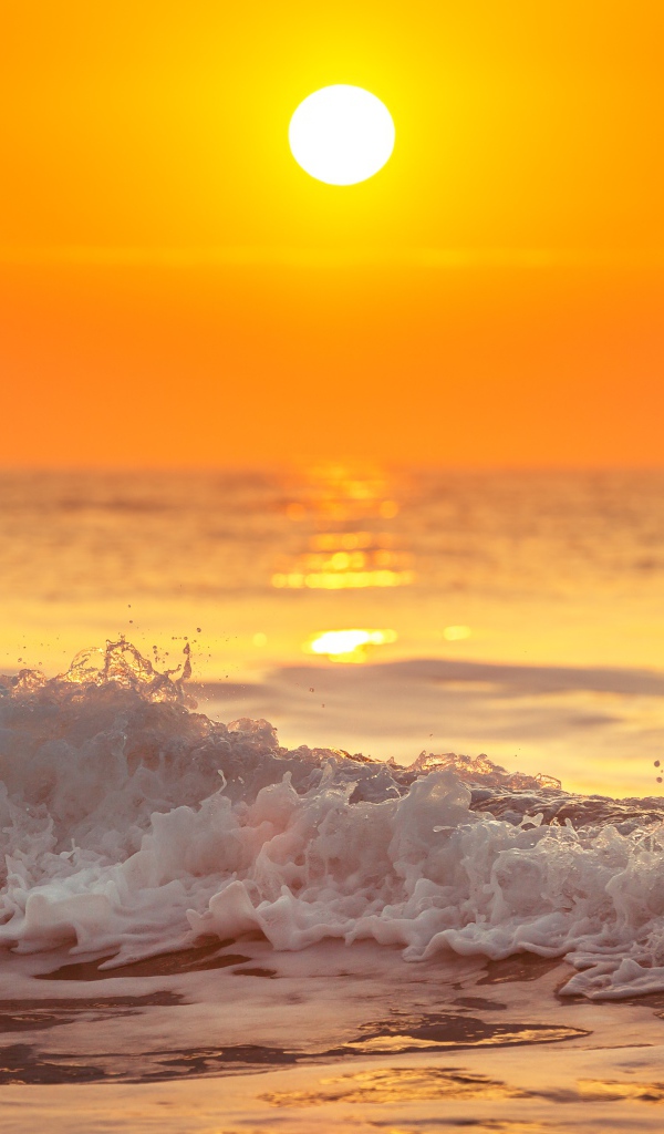 White foam on the seashore in the sunlight at sunset