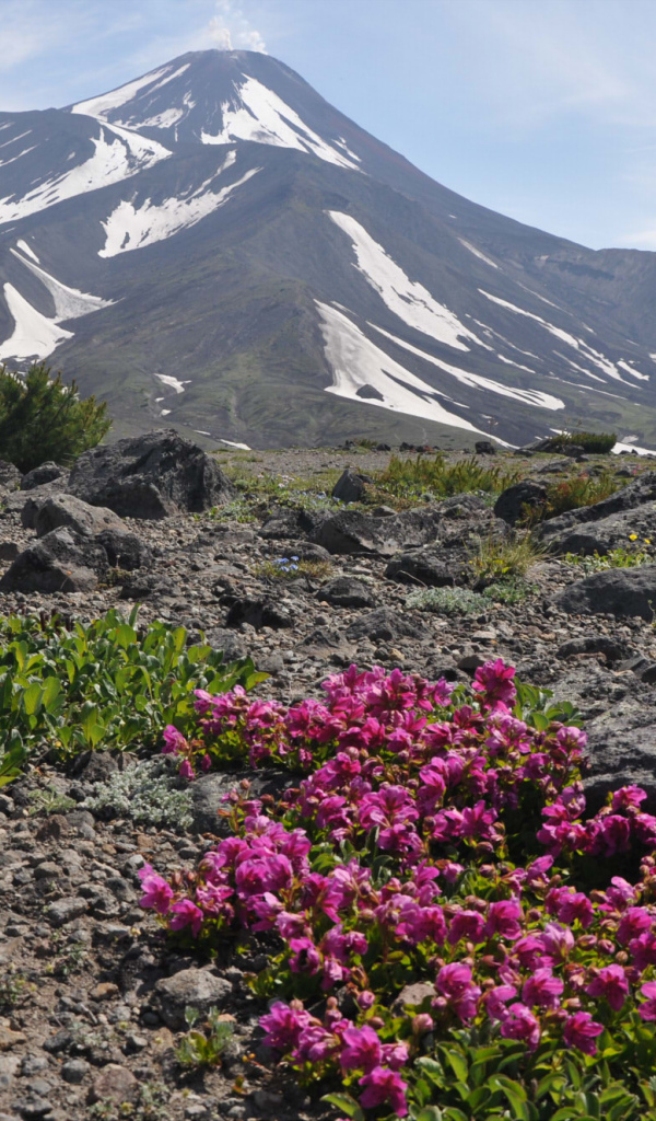 Вершина Авачинского вулкана, Камчатка. Россия 