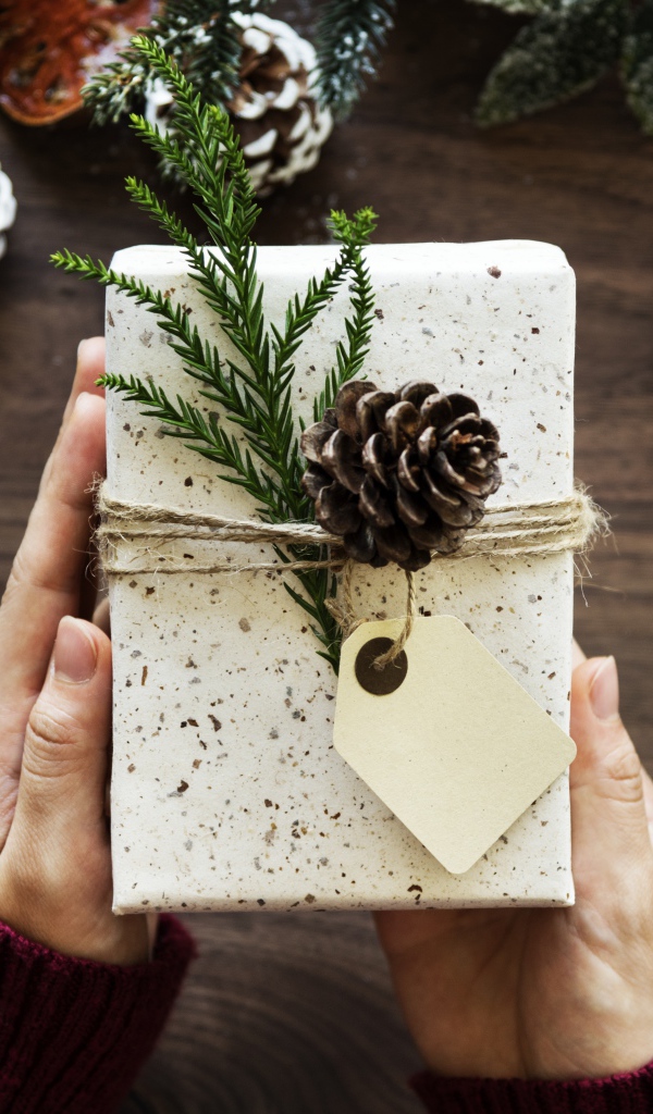 Подарок на Новый год 2018 в руках