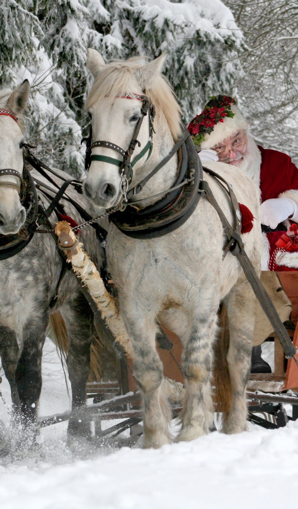 Дед Мороз в санях едет по заснеженному лесу