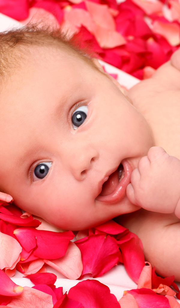 Грудной ребенок лежит на лепестках красной розы