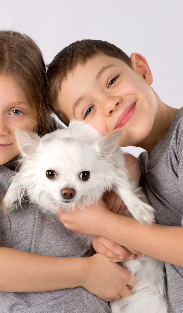 Мальчик и девочка держат в руках белого чихуахуа