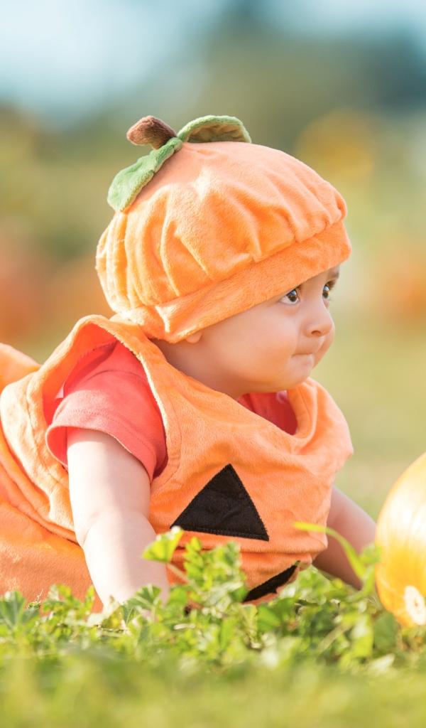 Маленький мальчик в смешном костюме на огороде с тыквой