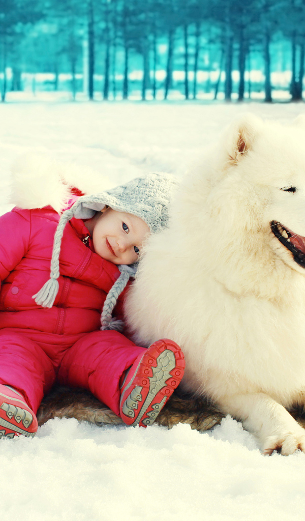 Маленькая девочка сидит на снегу с большой Самоедской собакой