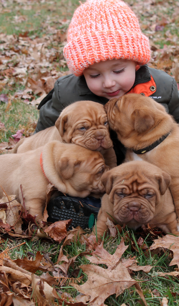 Маленькая девочка сидит с щенками на земле покрытой сухими листьями