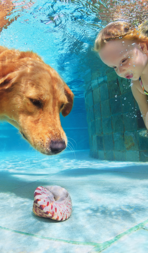 Маленькая девочка плавает в бассейне с большой рыжей собакой