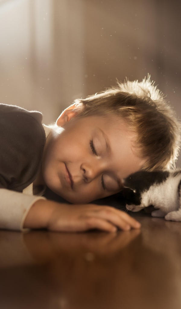 Спящий маленький мальчик и маленький котенок