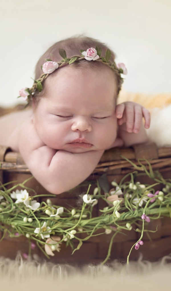 Маленький спящий младенец в корзине 