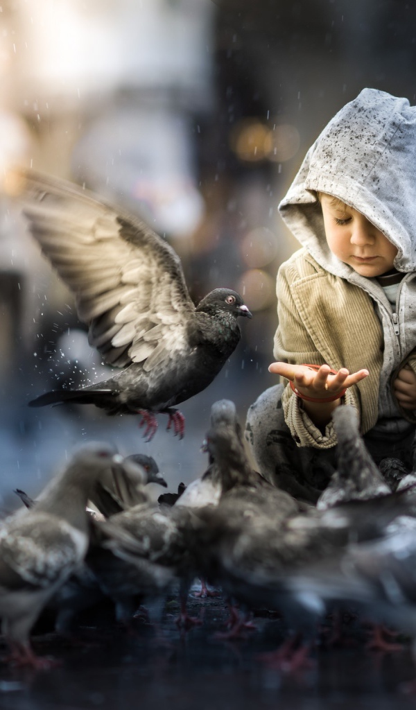 Маленький ребенок кормит голубей 
