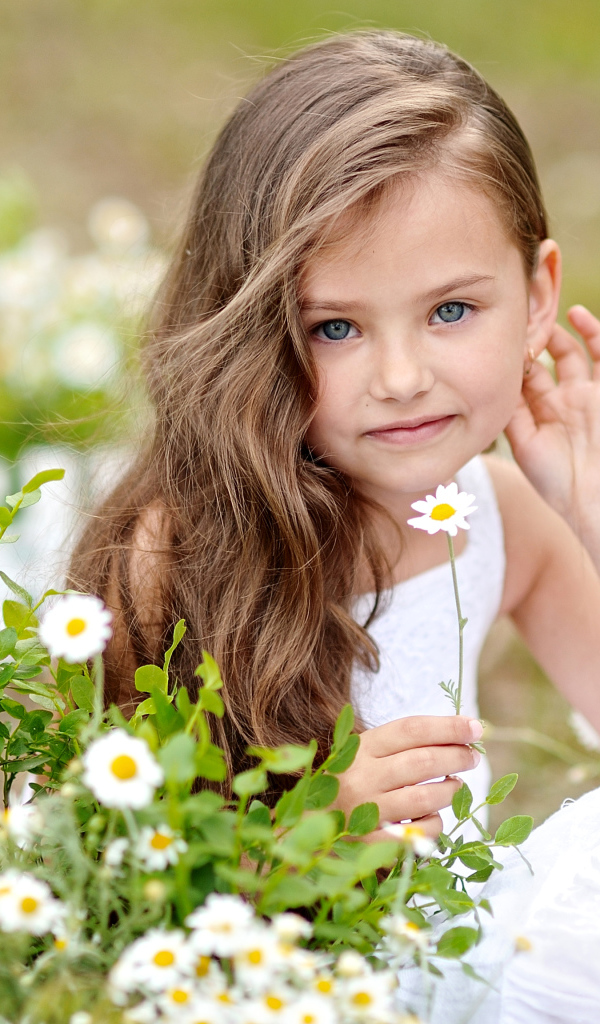 Красивая голубоглазая девочка с белой ромашкой в руке