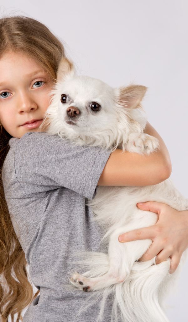 Голубоглазая девочка с белым чихуахуа в руках