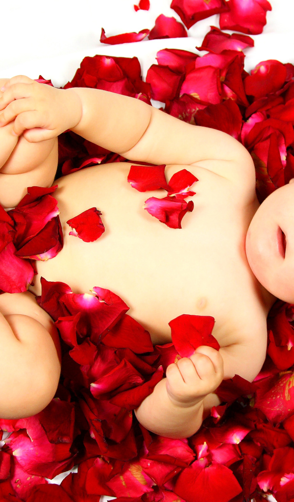 Милый грудной ребенок лежит на лепестках розы на белом фоне