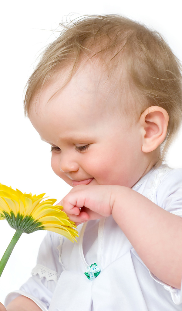 Милый грудной ребенок с желтым цветком герберы на белом фоне