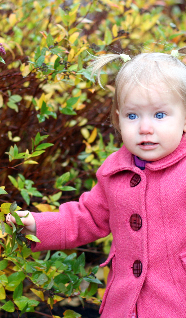 Маленькая голубоглазая девочка в розовом пальто