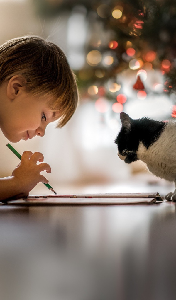 Маленький мальчик рисует с котом 