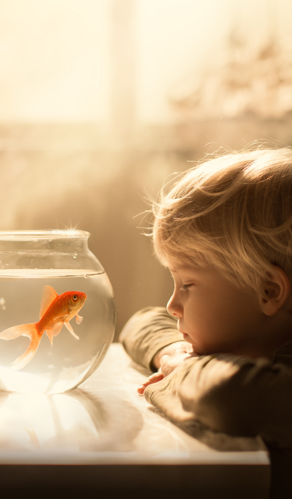 Маленький мальчик смотрит на аквариум с золотой рыбкой