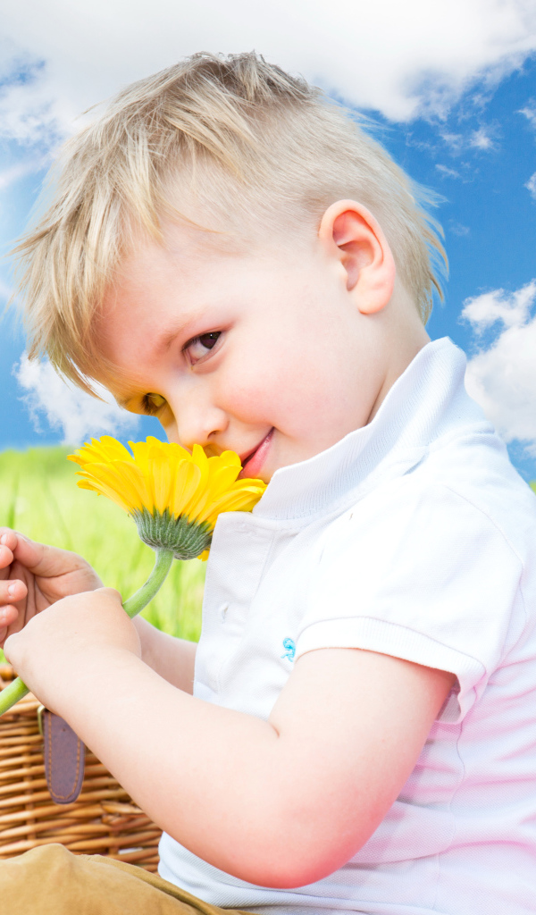 Маленький мальчик с цветком герберы на фоне голубого неба